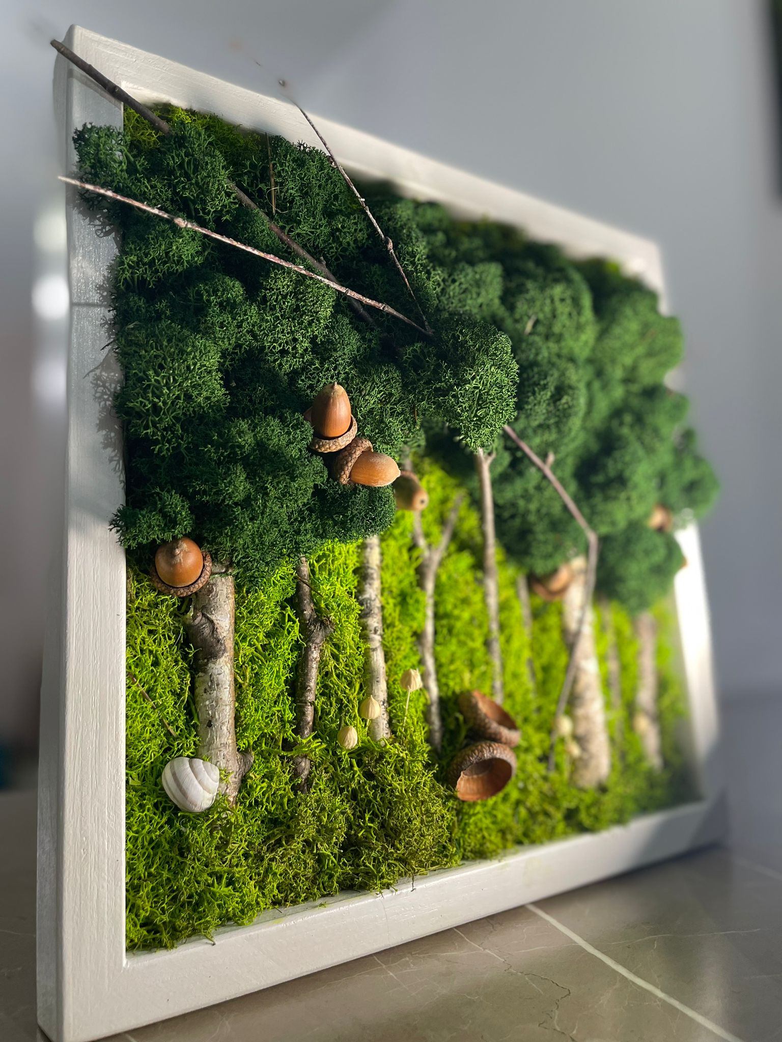 Tablou Natural cu Ghinde și Licheni Stabilizați, 30x30 cm